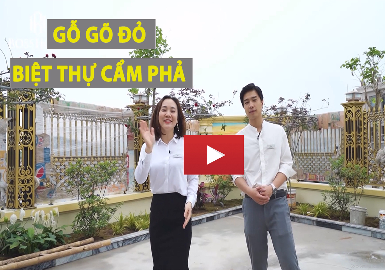 Video thi công biệt thự tân cổ điển Cẩm Phả